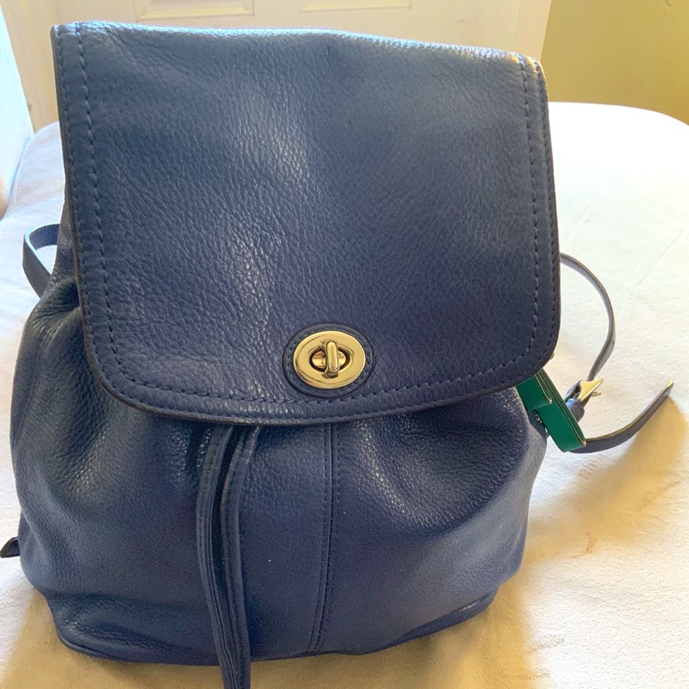 Coach Blue backpack with green interior